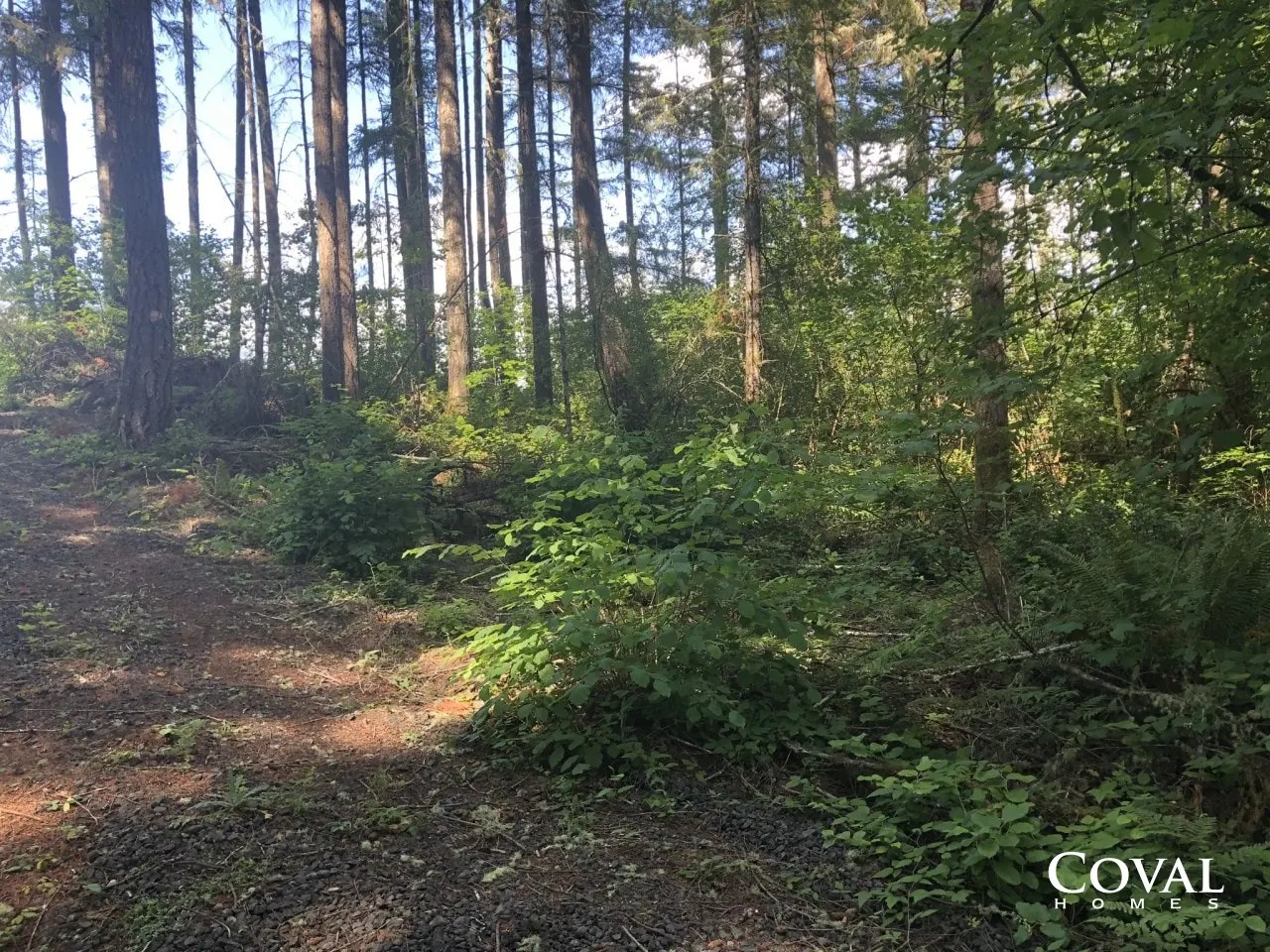 Beachcrest ADU Home Build in Gig Harbor Washington Coval Homes