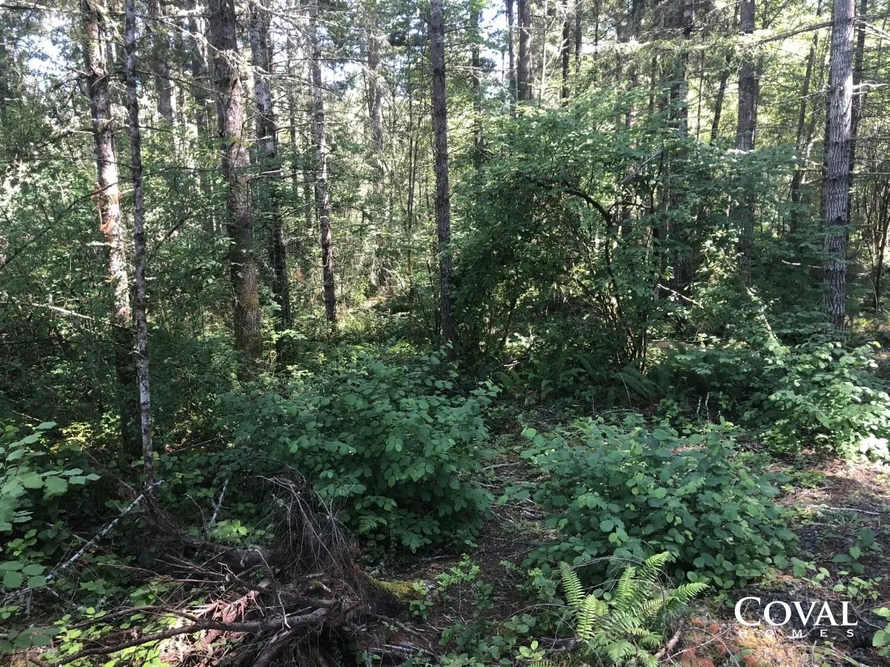 Beachcrest ADU Home Build in Gig Harbor Washington Coval Homes