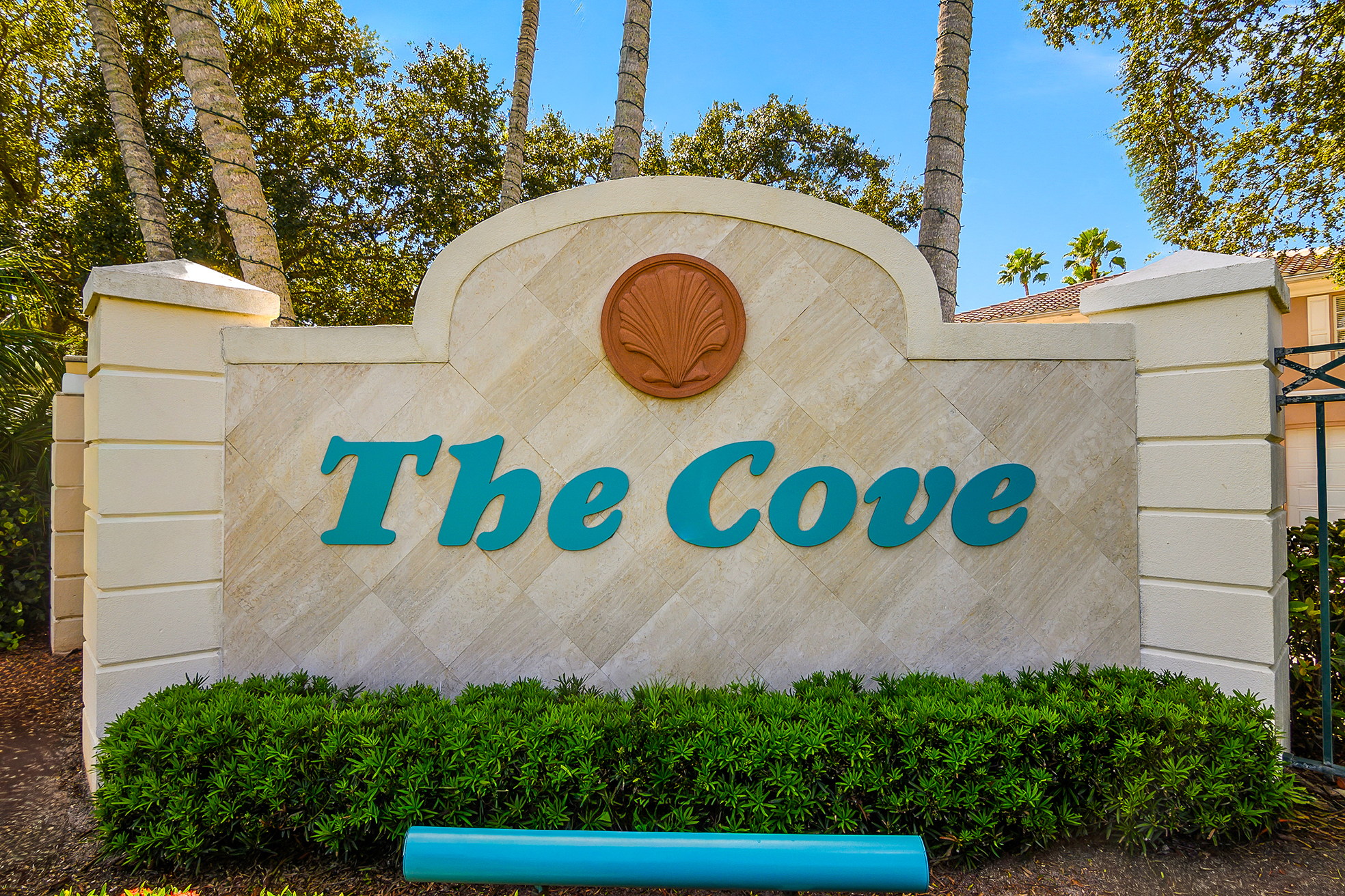 The Cove Images