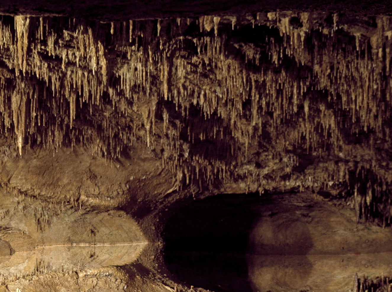 Touring the Rights Cave, Hierarchy Cavern > The Jackson Pemberton Blog