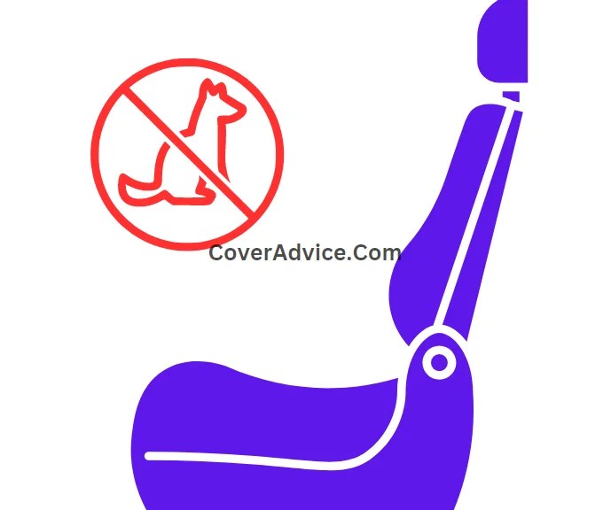 Why Are Car Seat Covers Worth It? [Protecting Your Investment]