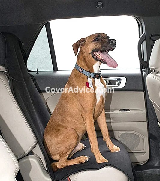 Are Neoprene Seat Covers Good for Dog Hair? [Here’s Why] Cover Advice