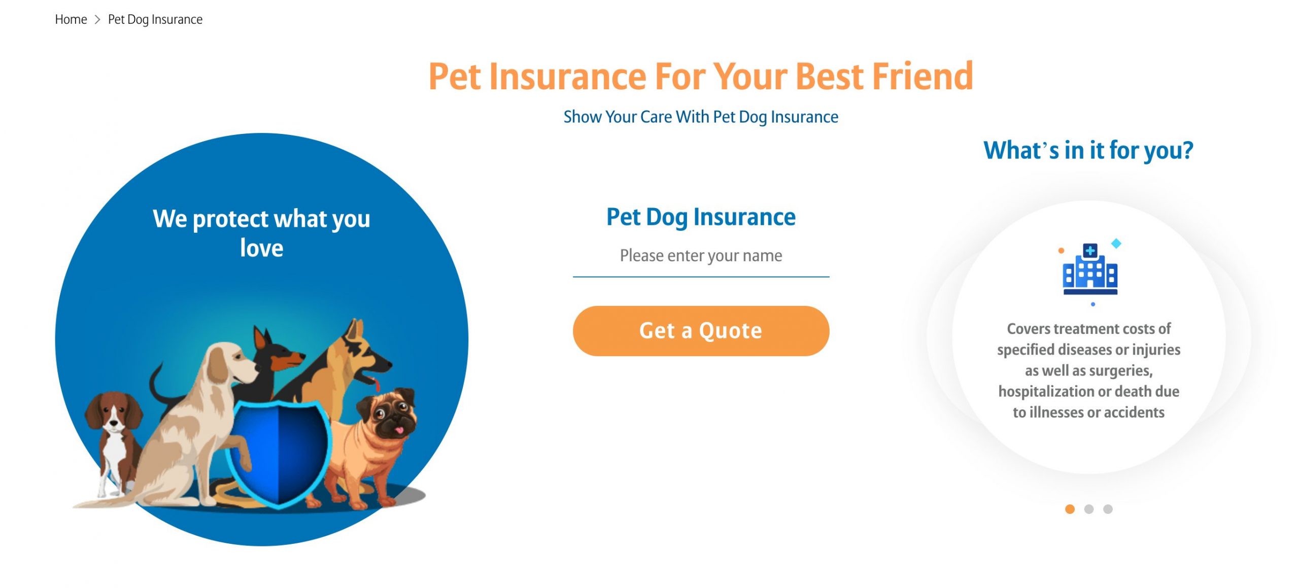 Bajaj Allianz launches dog insurance