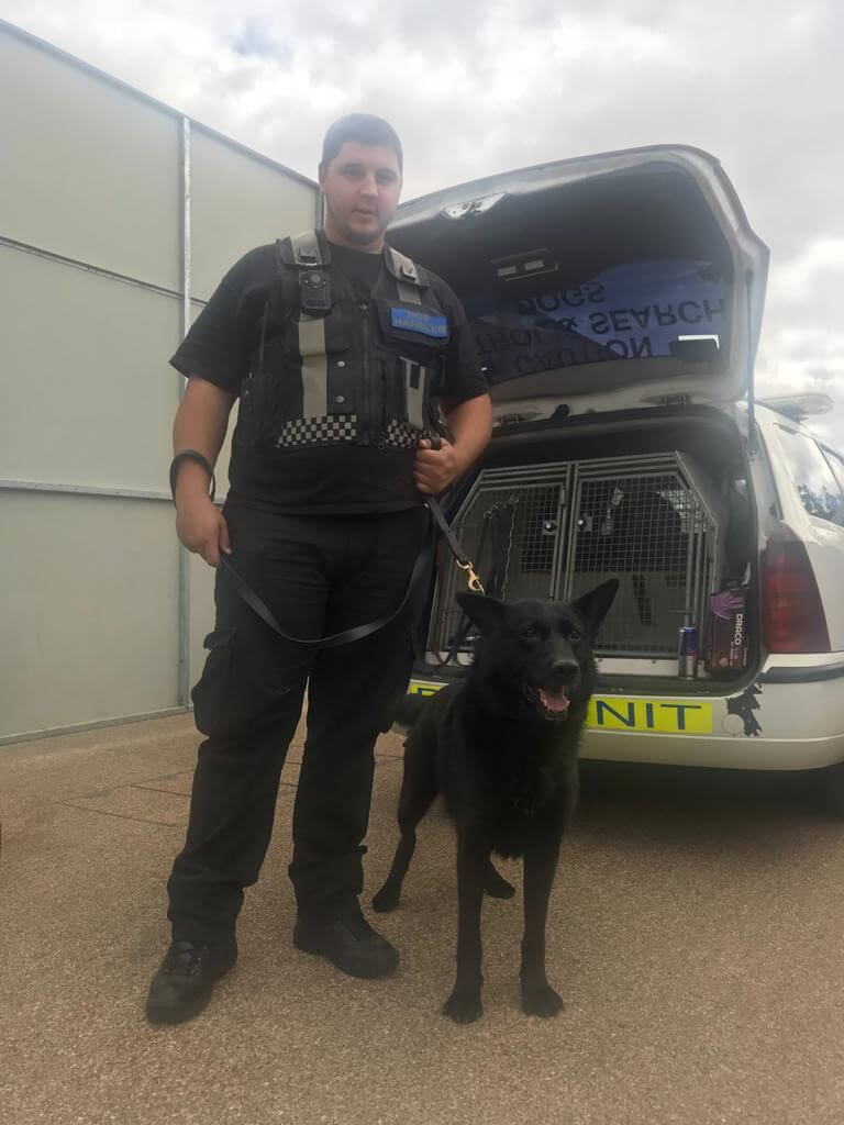 Dog Security UK Dog Patrols Drug & Explosive Detection
