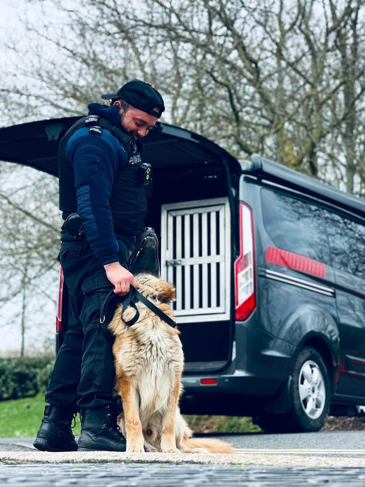 Dog Security UK Dog Patrols Drug & Explosive Detection