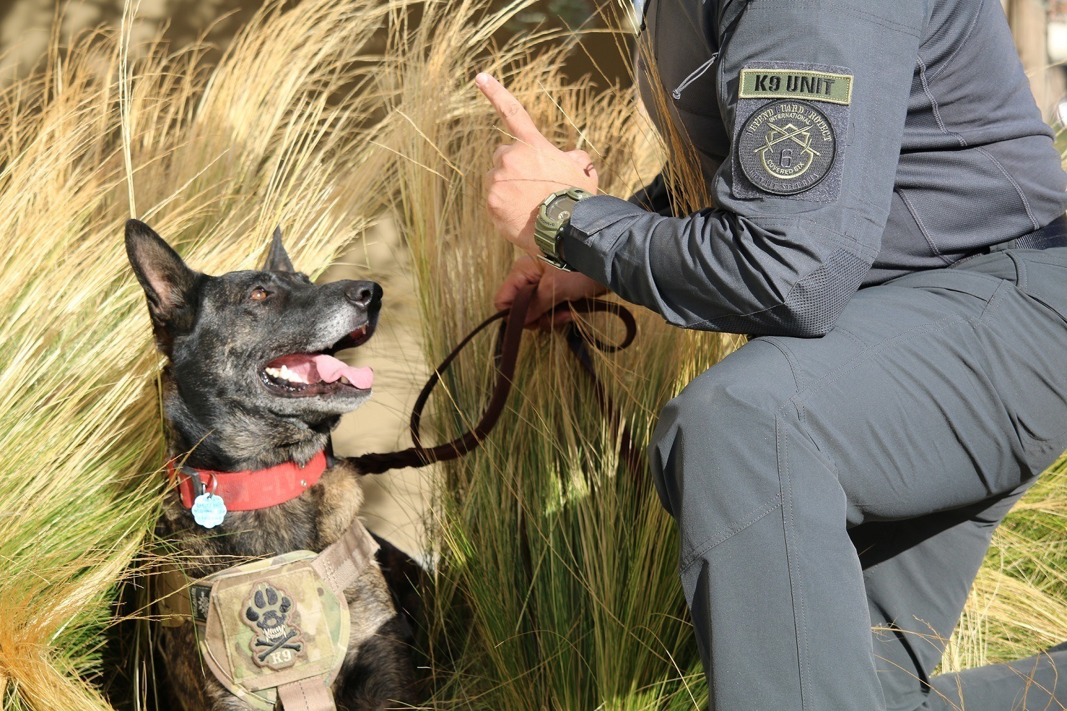 K9 Services Covered 6