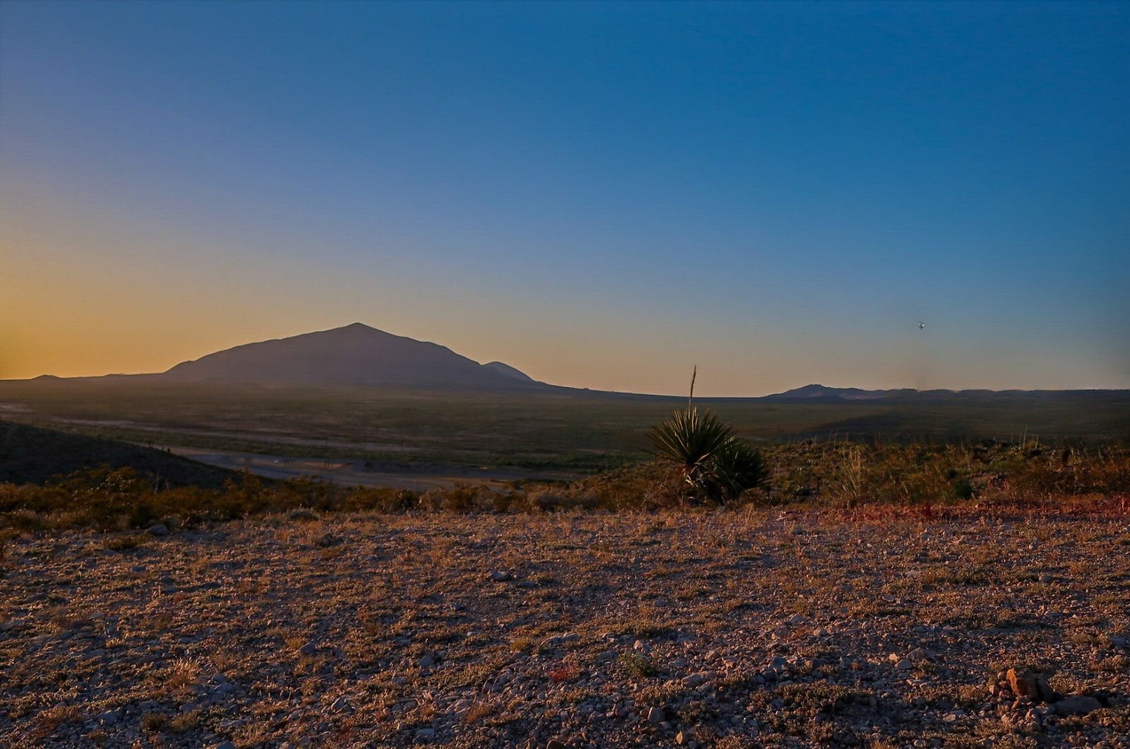 Covered Wagon Insurance El Paso and Van Horn Insurance