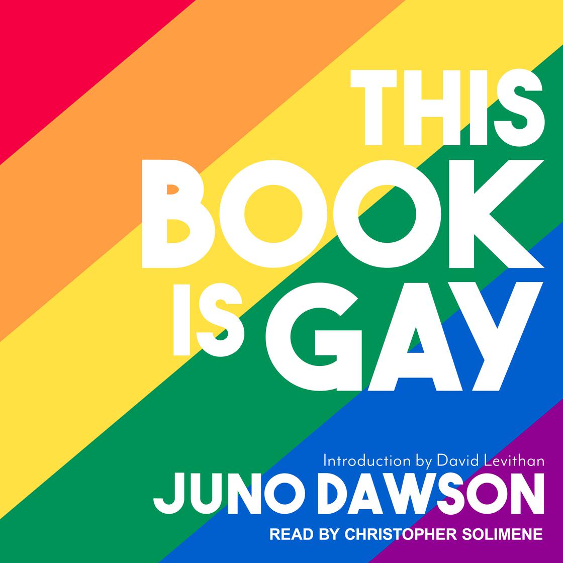 Libro.fm This Book Is Gay Audiobook