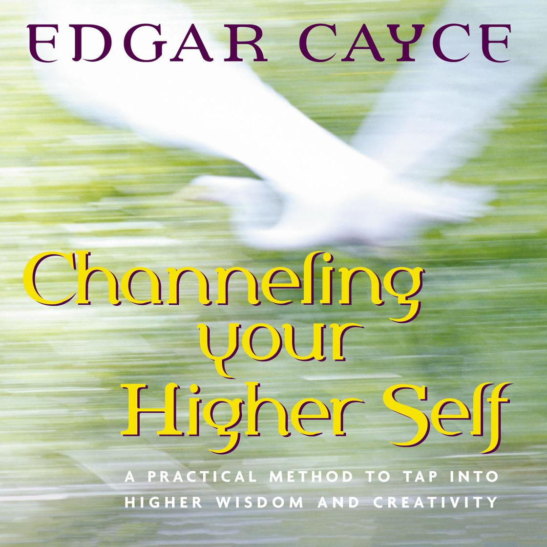 Libro.fm Channeling Your Higher Self Audiobook