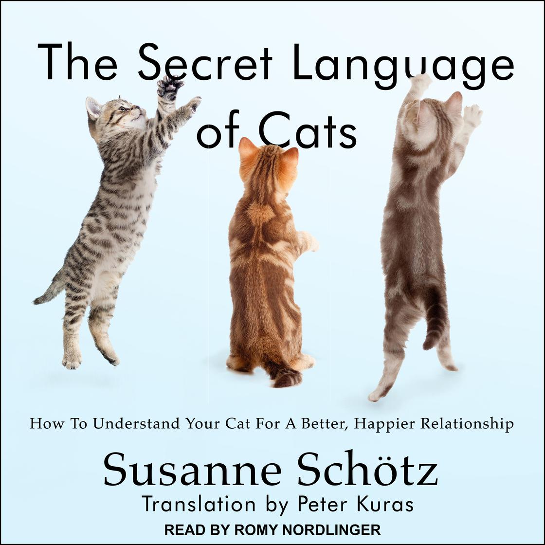 The Secret Language of Cats by Susanne Schotz Narrated by Romy