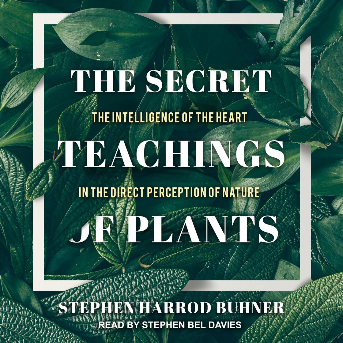 Libro.fm The Secret Teachings of Plants Audiobook