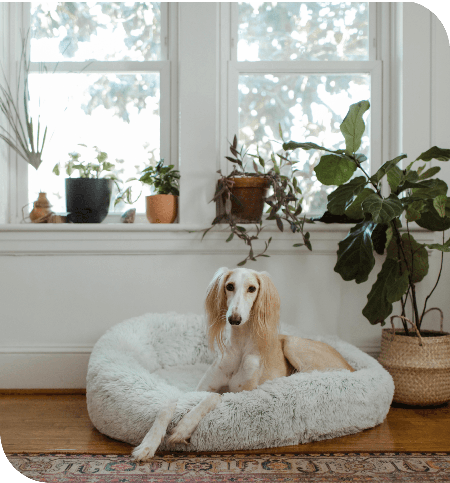 CoverWise Real Estate Insurance