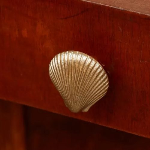 Shell Knob Covet Store