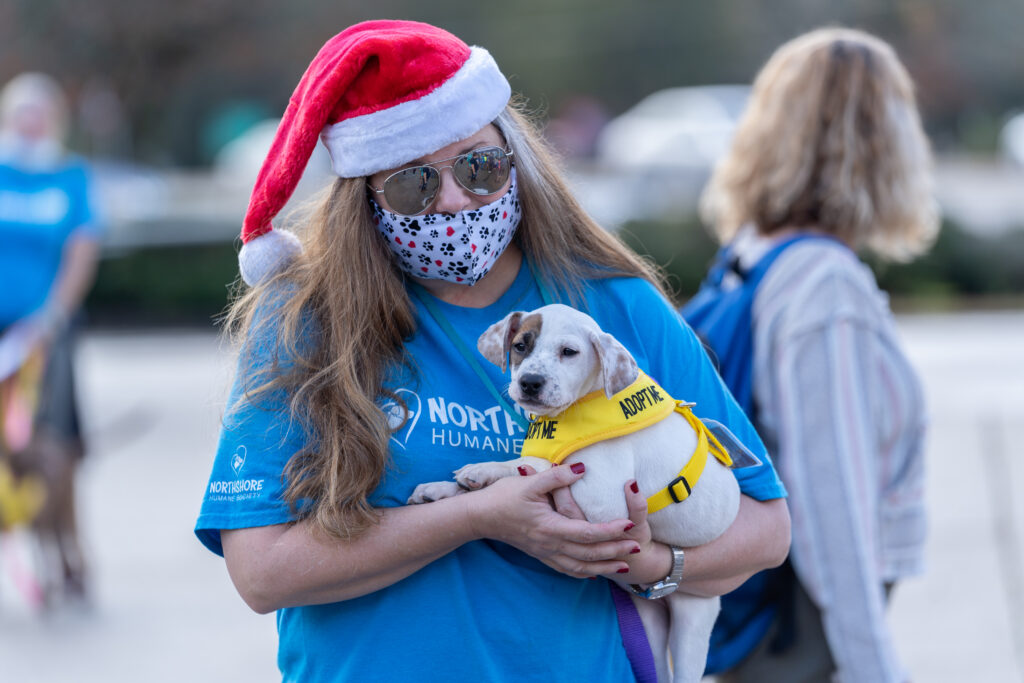 Home for the Holidays Mega Adoption Event a Big Success Covington Weekly