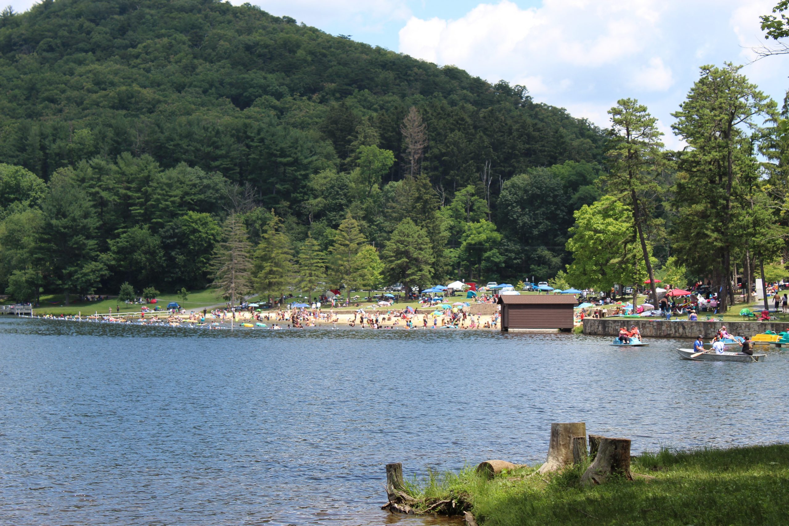Home The Friends of Cowans Gap State Park
