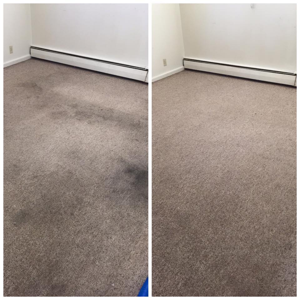 Carpet & Upholstery Cleaning Gallery Cheyenne, Wheatland, Laramie, WY