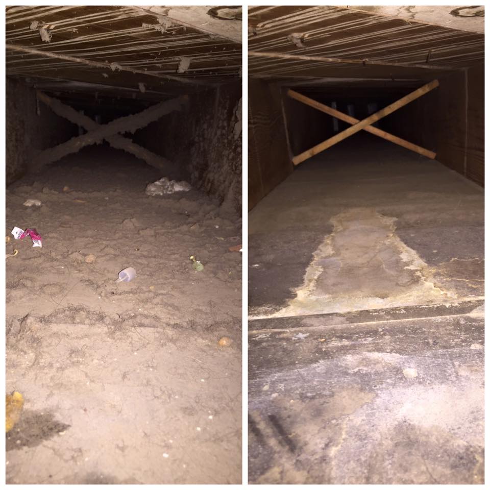 Carpet & Upholstery Cleaning Gallery Cheyenne, Wheatland, Laramie, WY