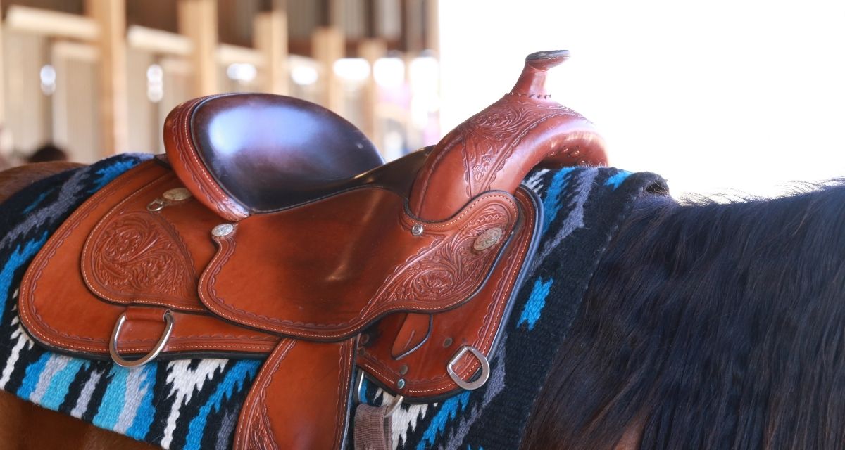 Most Popular Western Saddle Brands Cowboy Lifestyle Network