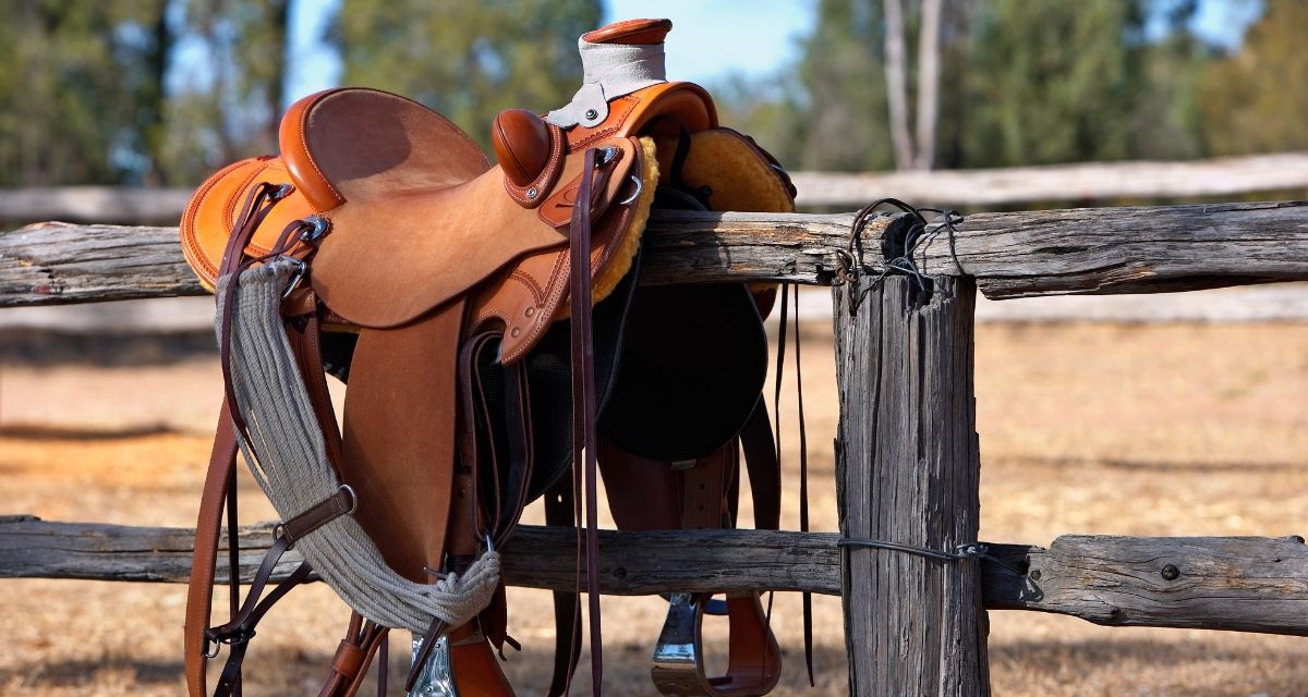 Most Popular Western Saddle Brands Cowboy Lifestyle Network