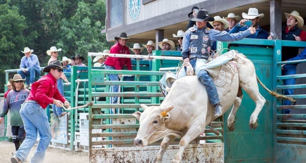 Rowell Ranch Pro Rodeo & Pro Rodeo Cowboy Reunion Cowboy Lifestyle