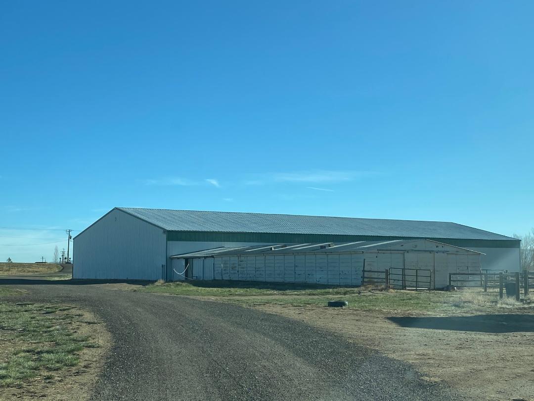 Horse Boarding in Laramie Wyoming Cow Horse Chick