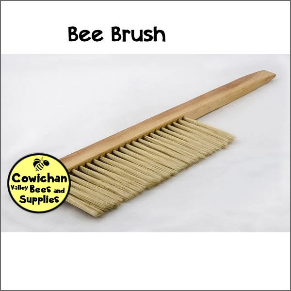 Bee Brush Cowichan Bee Supplies