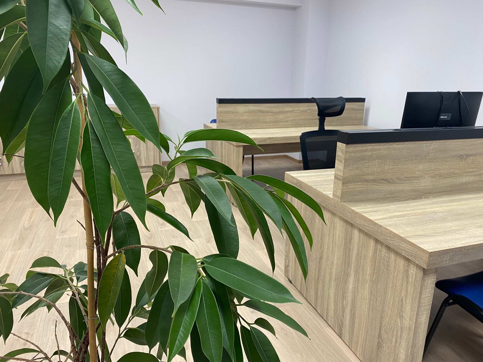 Dedicated Desk City CoworkinGreece