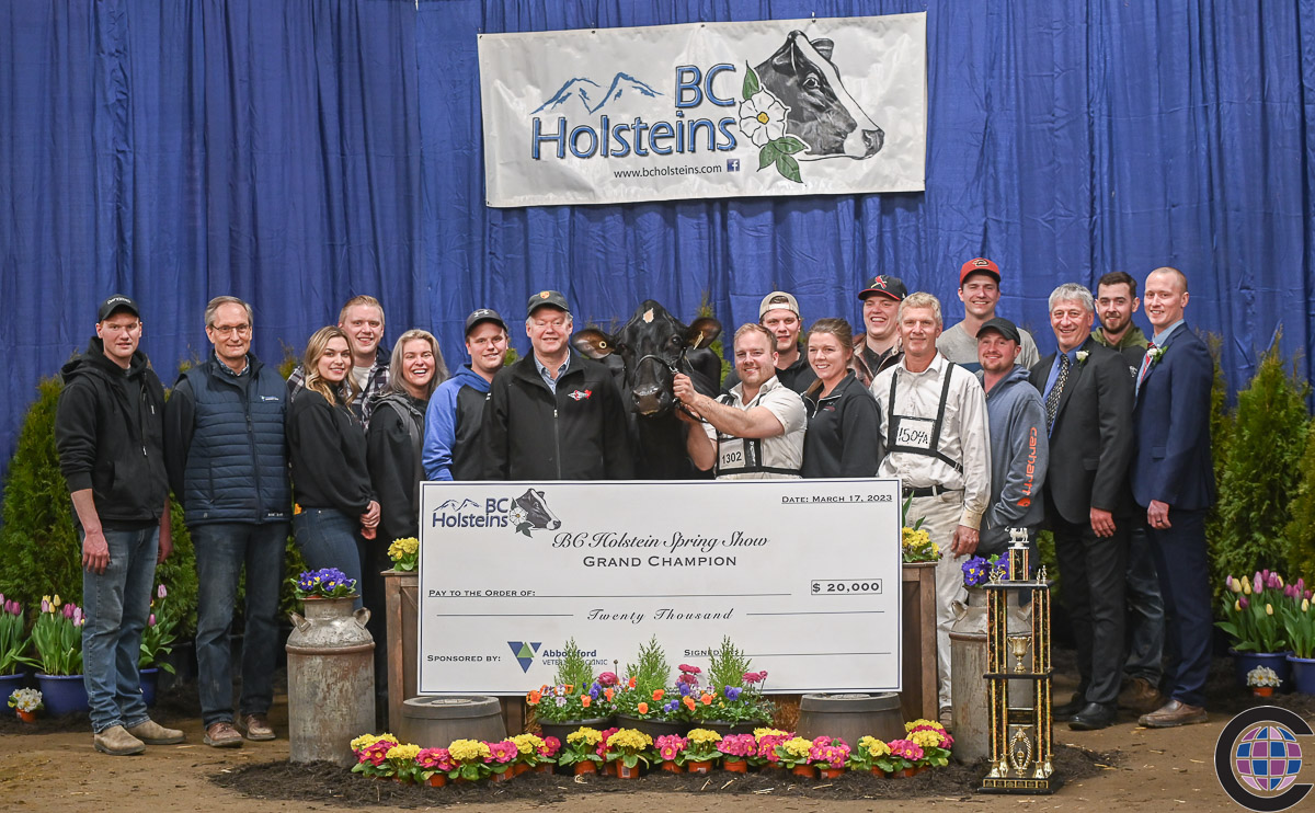 A Double Whammy Win for Westcoast Holsteins at BC Spring Holstein Show