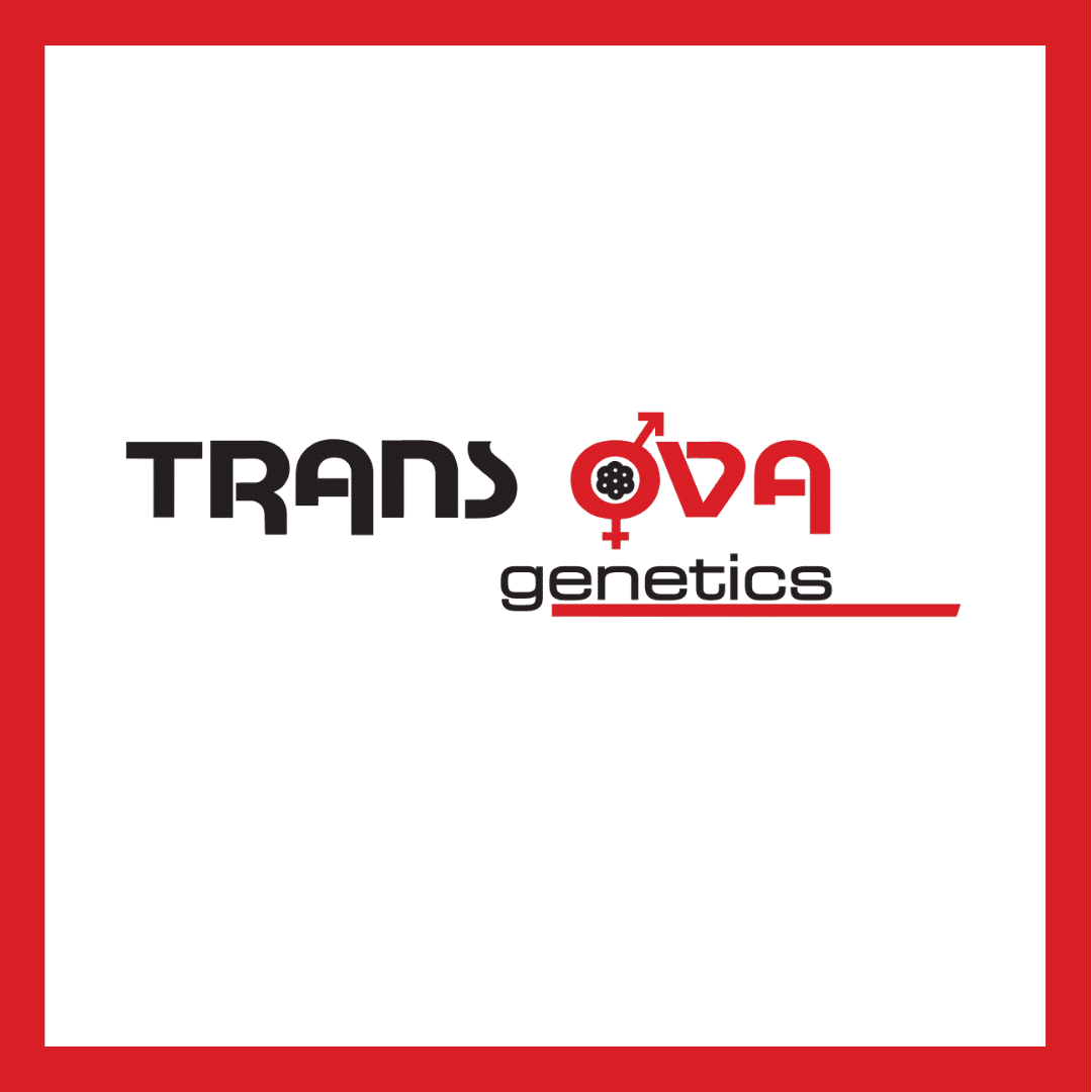 New England Summer Holstein Show 2023 Cowsmo