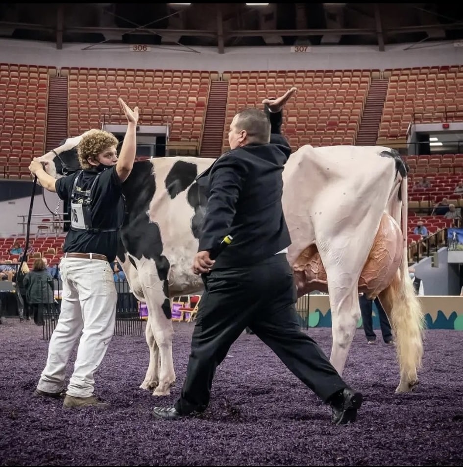 Brandon Ferry, World Dairy Expo 2023 Milking Shorthorn Judge Cowsmo