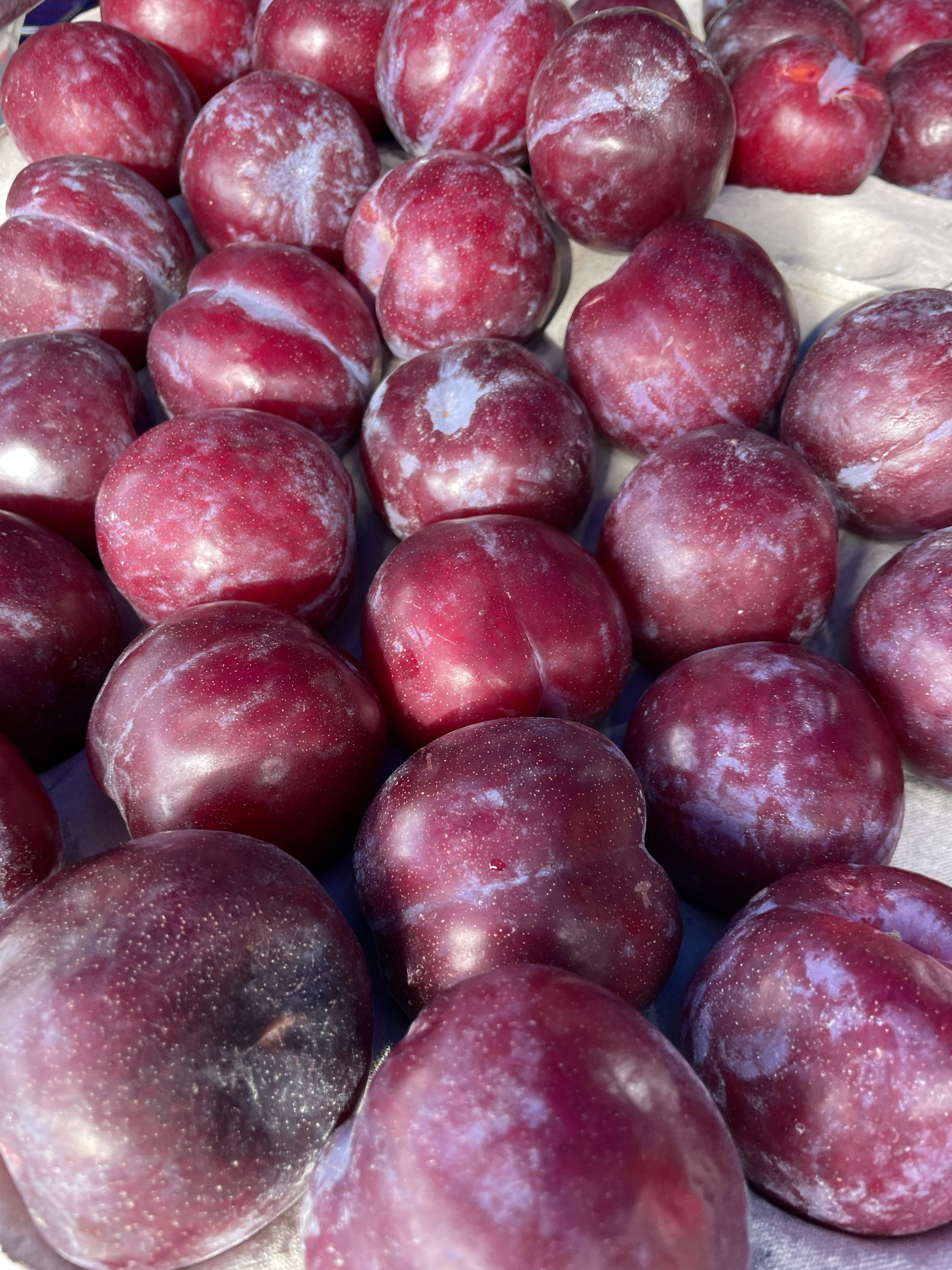 Red Plums x 4 Coxs Boxes