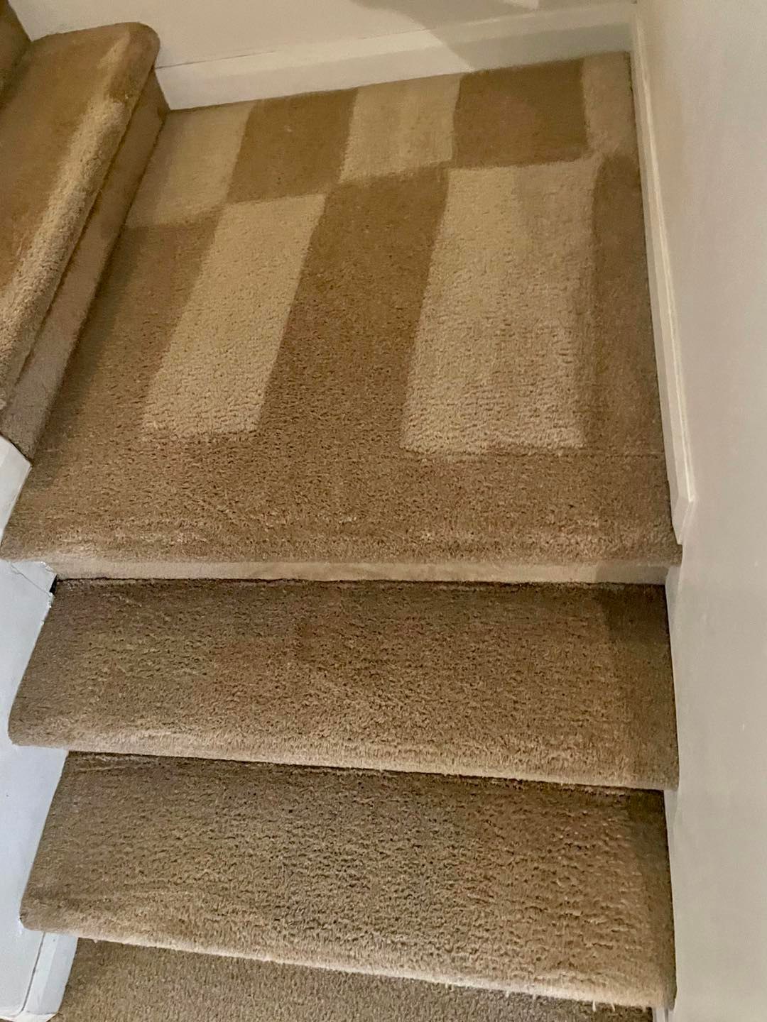 Coyote Carpet Cleaning Floor & Upholstery Cleaning in Mesquite, NV