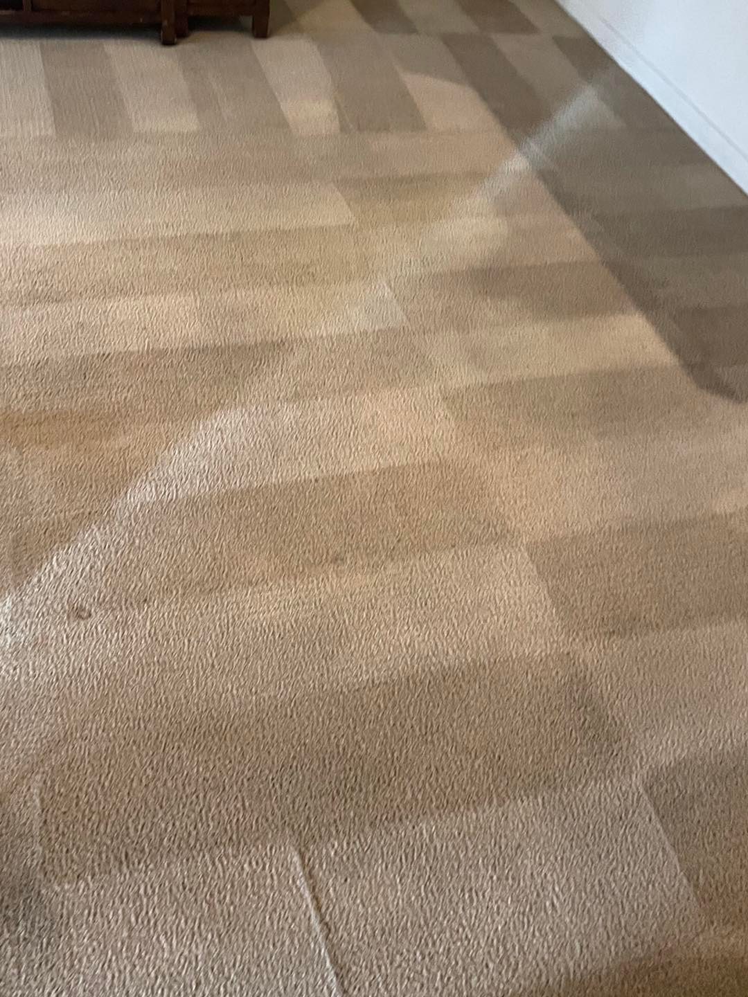 Coyote Carpet Cleaning Floor & Upholstery Cleaning in Mesquite, NV