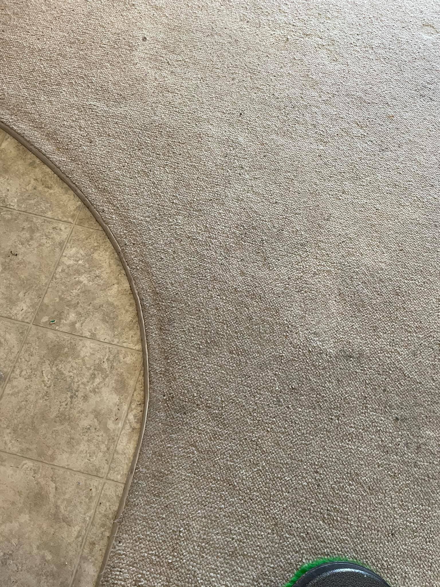 Coyote Carpet Cleaning Floor & Upholstery Cleaning in Mesquite, NV