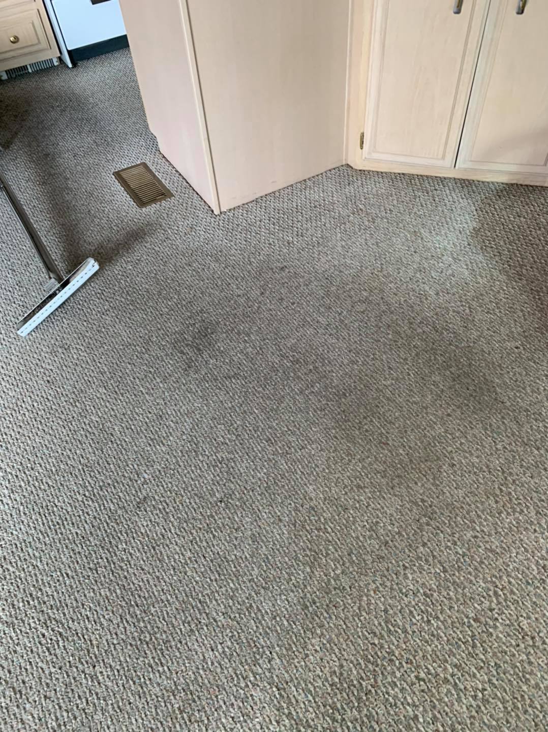 Coyote Carpet Cleaning Floor & Upholstery Cleaning in Mesquite, NV