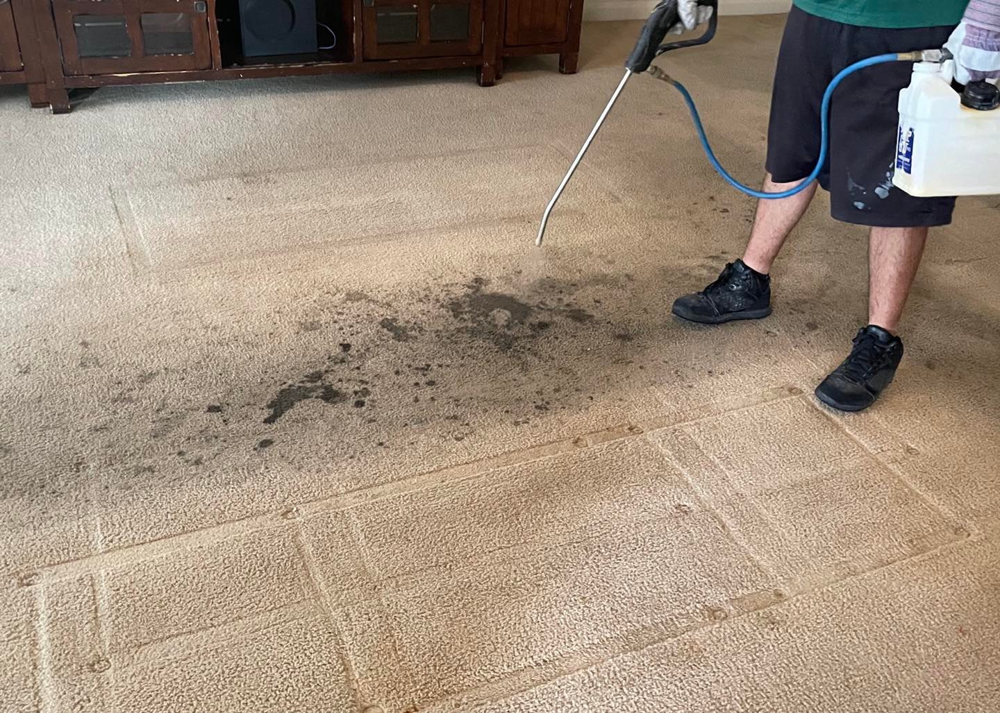 Coyote Carpet Cleaning Floor & Upholstery Cleaning in Mesquite, NV