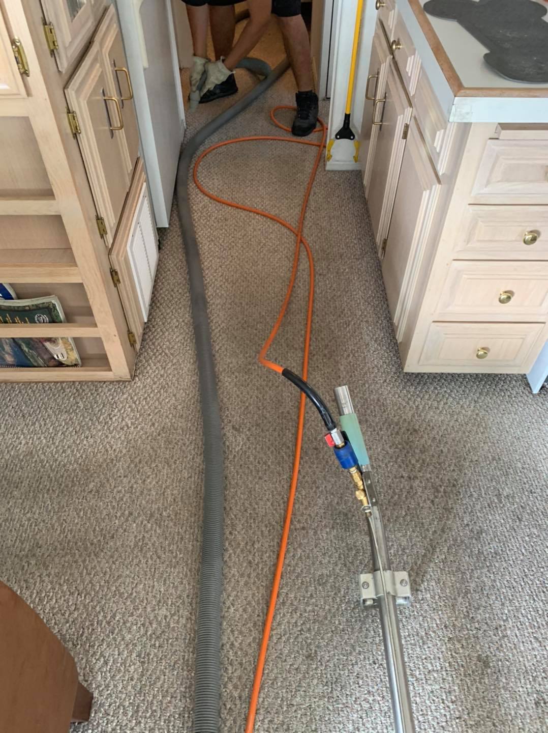 Coyote Carpet Cleaning Floor & Upholstery Cleaning in Mesquite, NV