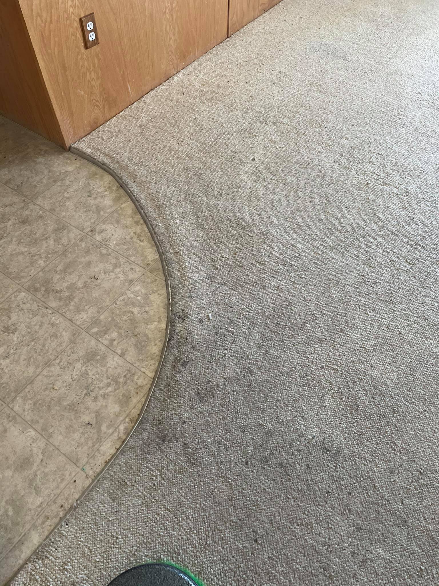 Coyote Carpet Cleaning Floor & Upholstery Cleaning in Mesquite, NV