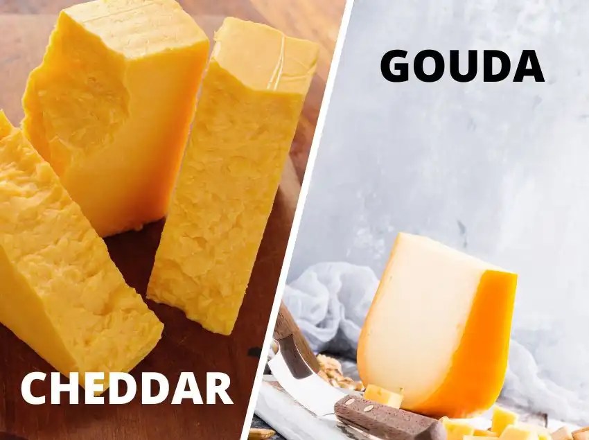 O que é queijo Gouda A Cozinha da Vê