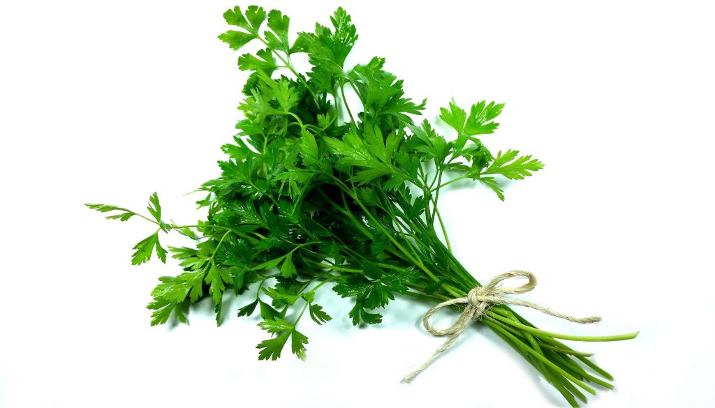 Taste of Parsley Find out all about this delicious culinary ingredient
