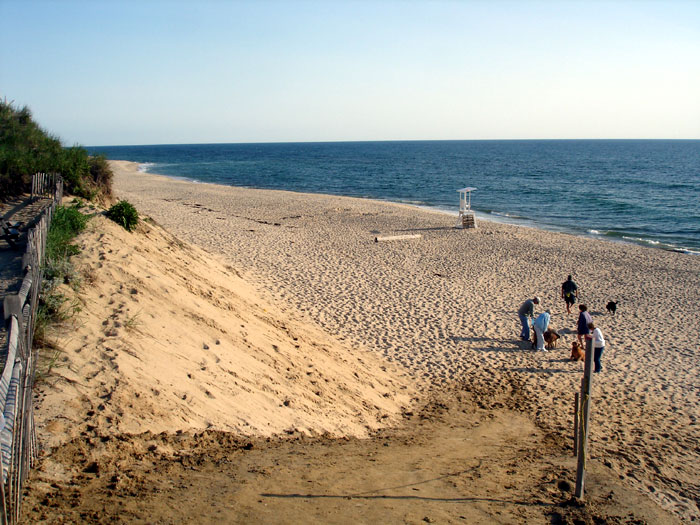 Hollow Beach Pictures Wellfleet Cape Cod