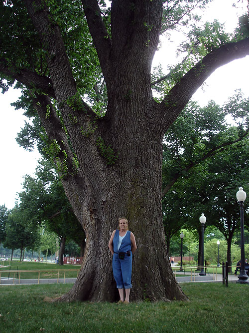 Washington DC Pictures