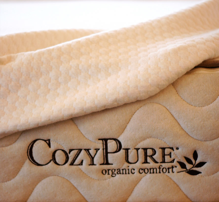 Pebble Pique Organic Cotton Stretch Knit Mattress Protector Best