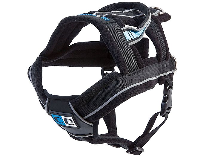 The Best Harnesses & Leashes for Husky Dogs [Pulling, NoPull, Tips]