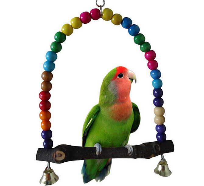 Here Are The Best Parakeet Toys to Keep Your Birdie Happy