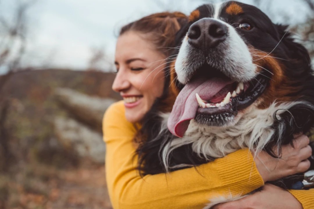 Do Dogs Like Being Picked Up 3 Key Factors