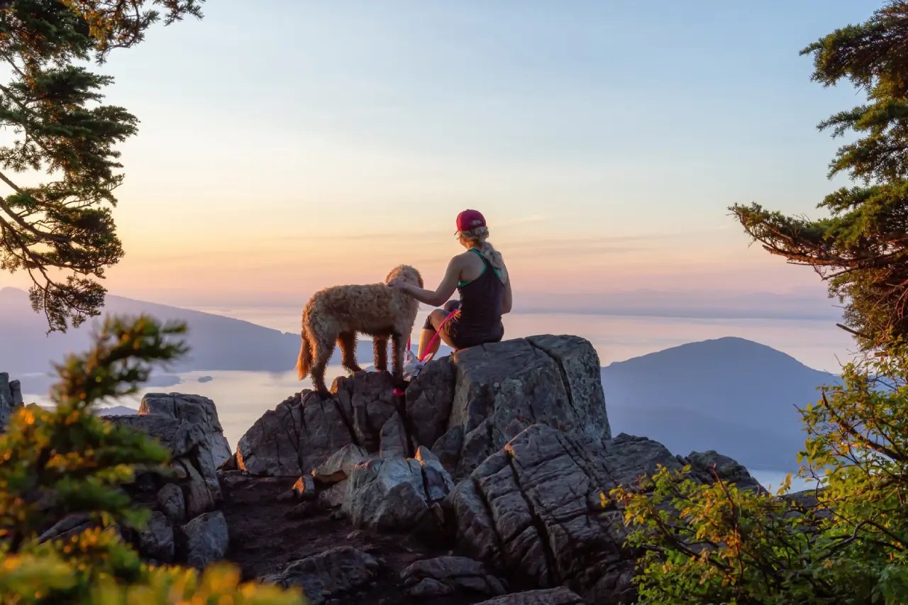 Scruffing a Dog Is it Good or Bad With Tips