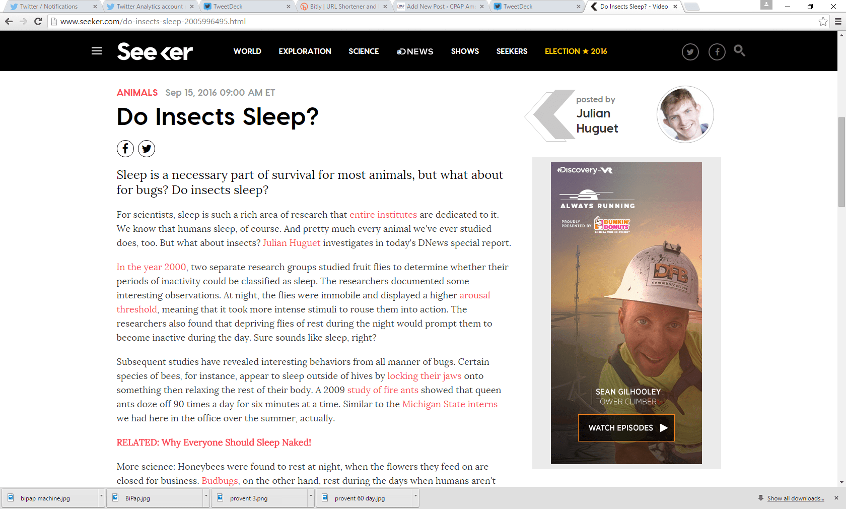 Do Insects Actually Sleep? Find Out the Answer Here