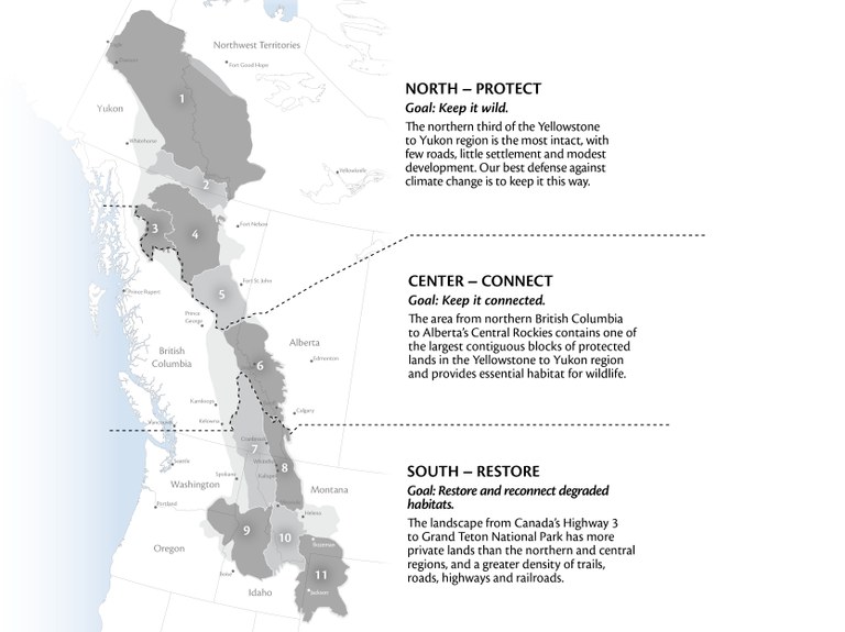 Yellowstone to Yukon CPAWS Yukon