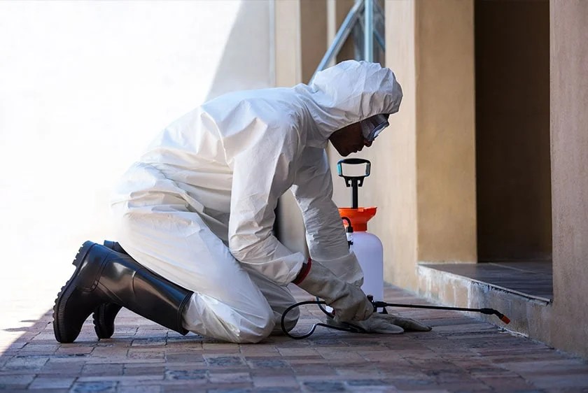How to do Pest Control Inspection ? CPC(India) Pest Control